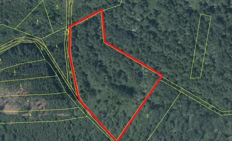 Prodej louky, Poleň, 16367 m2