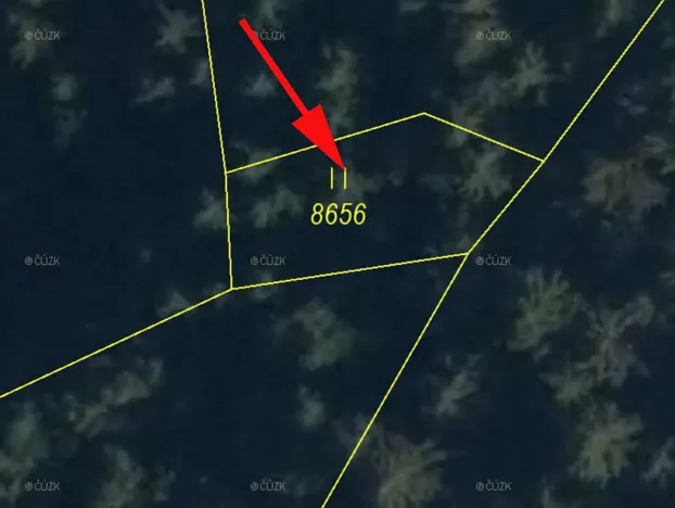 Prodej lesa, Huslenky, 198 m2