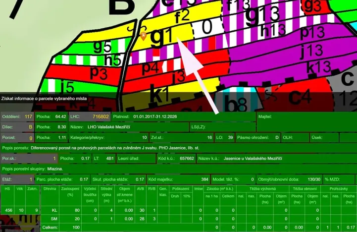 Prodej lesa, Lešná, 10970 m2
