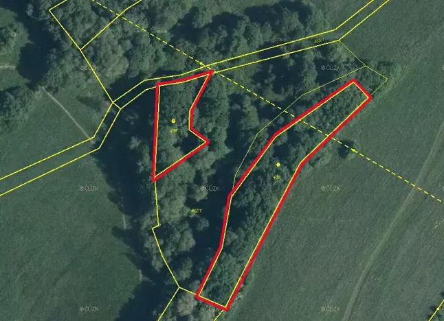 Prodej lesa, Stružnice, 3736 m2