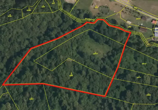 Prodej lesa, Huslenky, 13656 m2