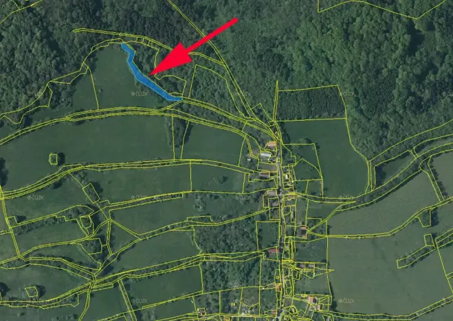 Prodej lesa, Kozly, 3340 m2