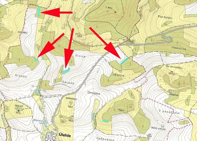 Prodej lesa, Úlehle, 3744 m2