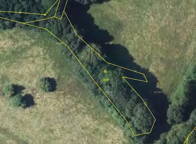 Prodej lesa, Stvolínky, 1713 m2