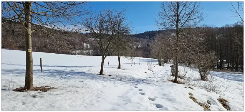 Prodej pozemku pro bydlení, Bartošovice v Orlických horách, 1050 m2