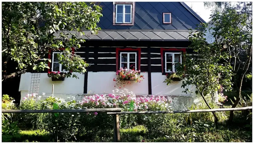 Prodej pozemku pro bydlení, Bartošovice v Orlických horách, 1050 m2