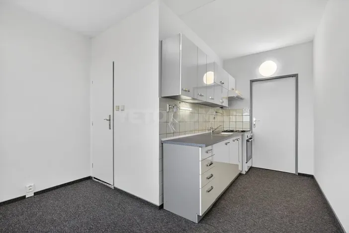 Prodej bytu 2+1, Plzeň, Elišky Krásnohorské, 60 m2