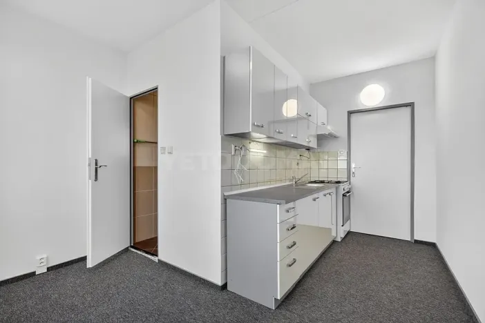 Prodej bytu 2+1, Plzeň, Elišky Krásnohorské, 60 m2