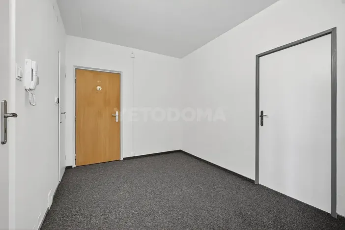 Prodej bytu 2+1, Plzeň, Elišky Krásnohorské, 60 m2