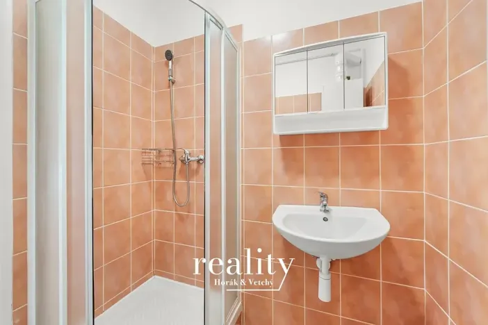 Pronájem bytu 1+1, Jihlava, Mošnova, 48 m2