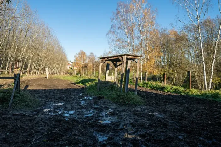 Pronájem - jiné, Markvartovice, 111 m2