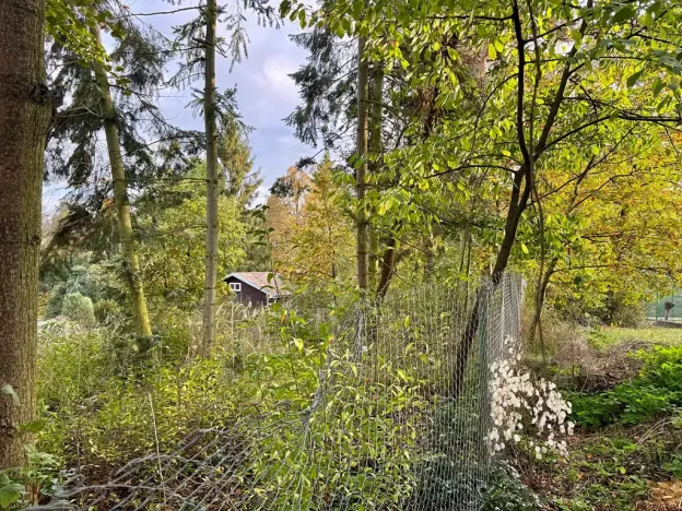 Pronájem chaty, Kamýk nad Vltavou, 50 m2