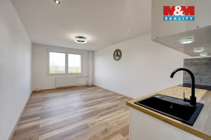 Prodej bytu 1+kk, Horní Bříza, U Vrbky, 25 m2