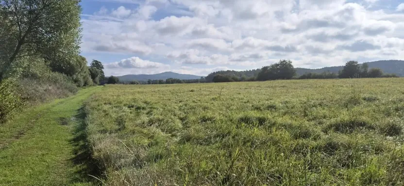 Prodej pozemku pro bydlení, Jestřebí, 1898 m2