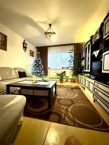 Prodej bytu 3+1, Nový Hrozenkov, 83 m2