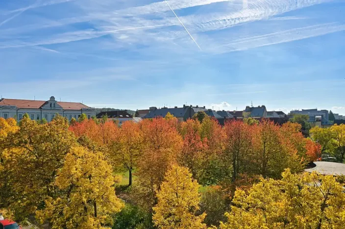 Prodej bytu 3+kk, Plzeň, Habrmannovo náměstí, 121 m2