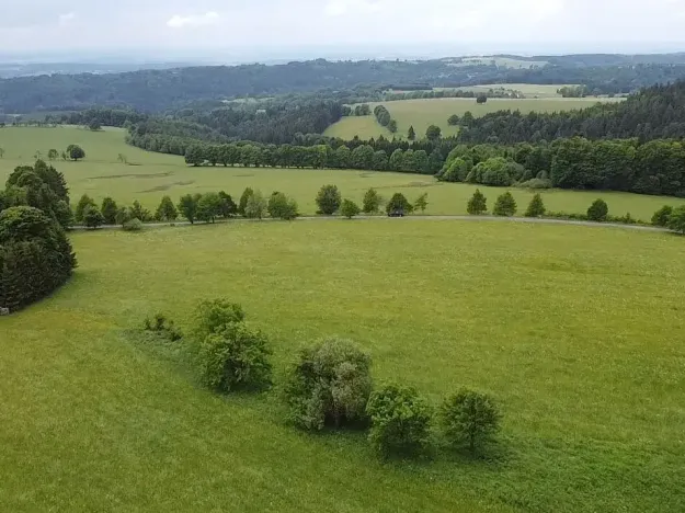 Dražba louky, Říčky v Orlických horách, 1426 m2