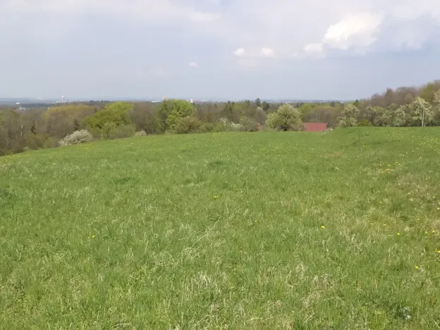 Dražba louky, Chotěbuz, 6967 m2