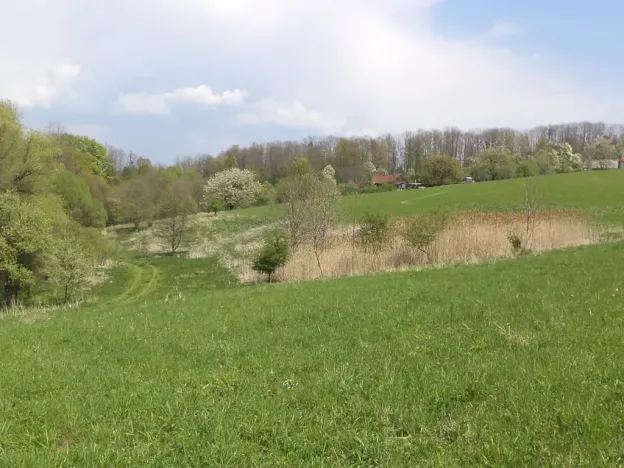 Dražba louky, Chotěbuz, 6967 m2