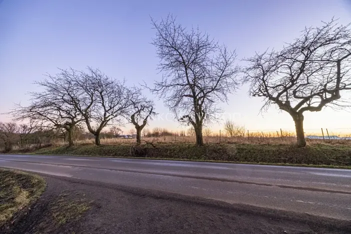Prodej zahrady, Chotěboř, Hromádky z Jistebnice, 5327 m2
