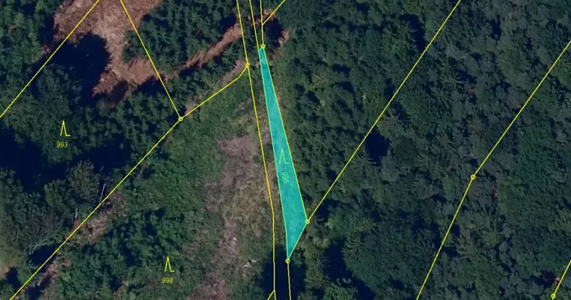 Dražba lesa, Luže, 227 m2