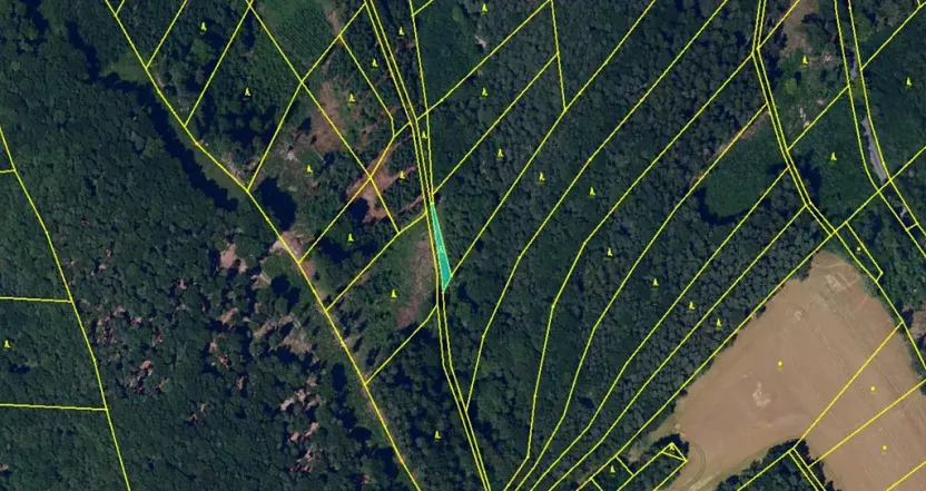 Dražba lesa, Luže, 227 m2