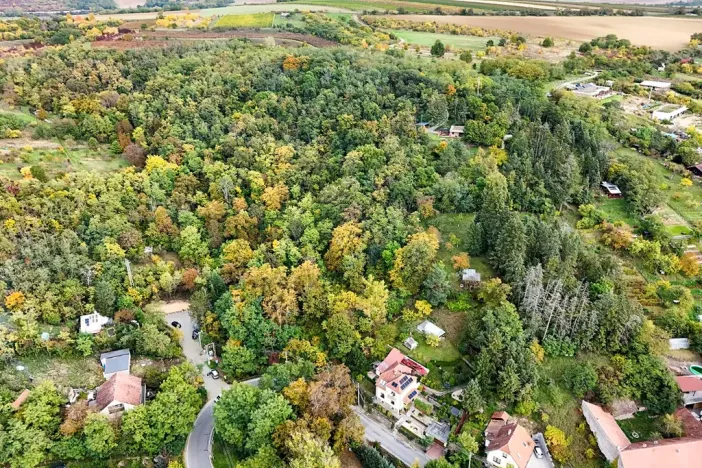 Prodej chaty, Dolní Kounice, Komenského, 16 m2