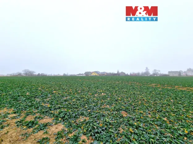 Prodej pozemku pro bydlení, Štěpánkovice, 5343 m2