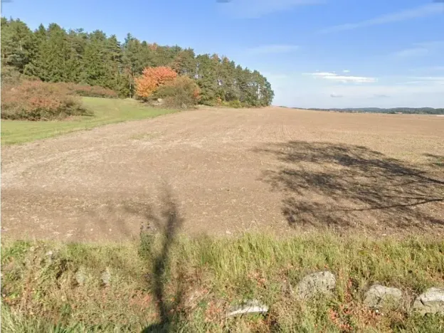 Dražba pole, Hrejkovice, 1550 m2