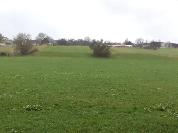 Dražba pole, Mladý Smolivec, 15075 m2