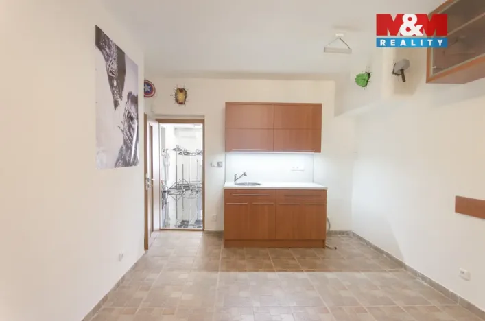 Prodej obchodního prostoru, Ostrava - Třebovice, Na Bezděku, 250 m2