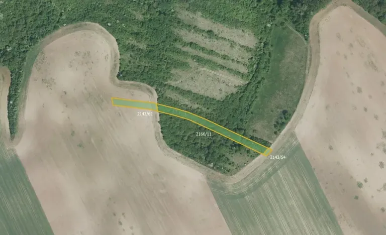 Prodej pole, Ždánice, 3633 m2