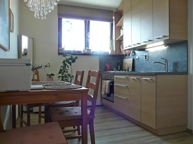 Pronájem bytu 1+1, Brno, Zvěřinova, 53 m2