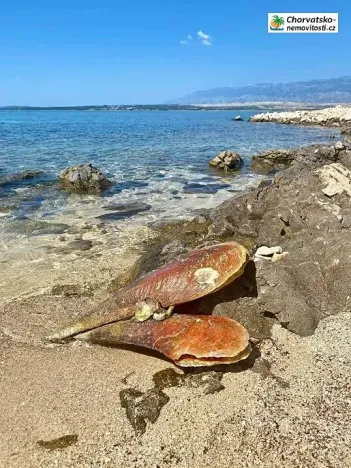 Prodej bytu 3+1, Novalja, Chorvatsko, 87 m2