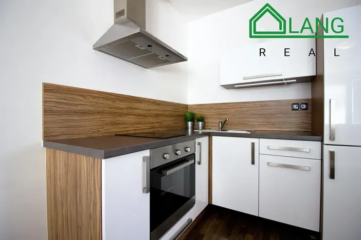 Pronájem bytu 1+kk, Brno, Dobrovského, 40 m2