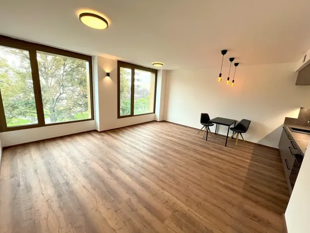 Pronájem bytu 1+kk, Brno, Slovákova, 47 m2