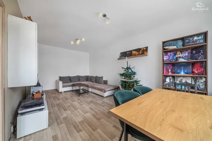 Prodej bytu 2+1, Plzeň, Tichá, 60 m2