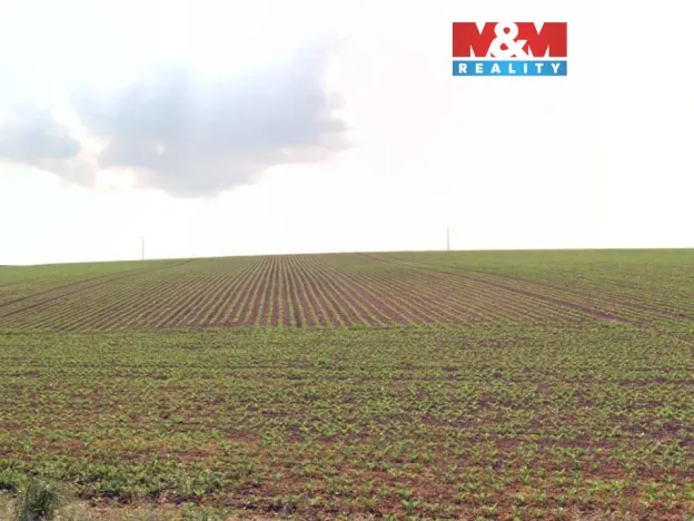 Prodej pole, Štěpánkovice, 2579 m2