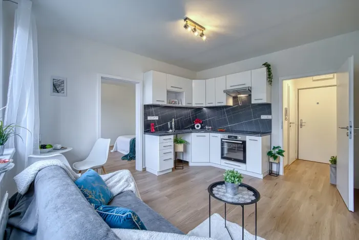 Pronájem bytu 1+1, Chomutov, Arbesova, 36 m2