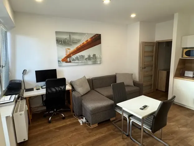 Pronájem bytu 1+kk, Brno, Dřevařská, 30 m2