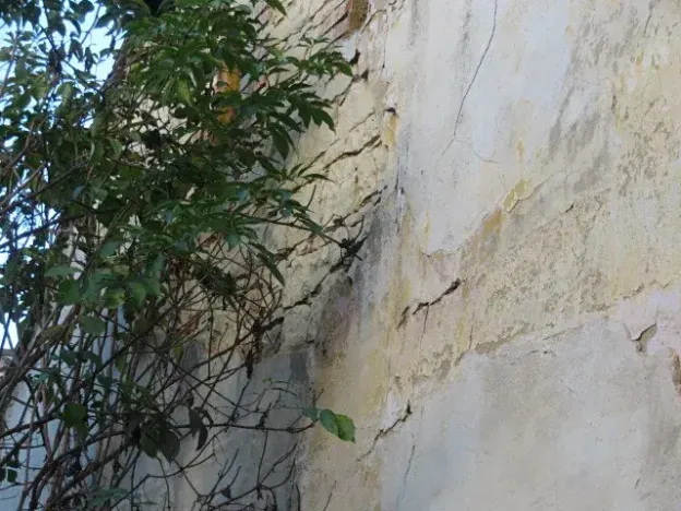 Dražba rodinného domu, Postoloprty, Husova, 387 m2