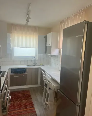 Pronájem rodinného domu, Plzeň, Konopná, 100 m2