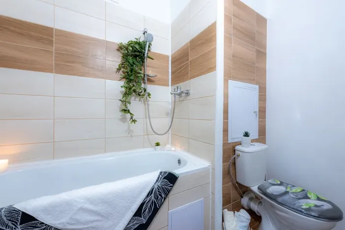 Pronájem bytu 2+1, Most, Josefa Skupy, 49 m2