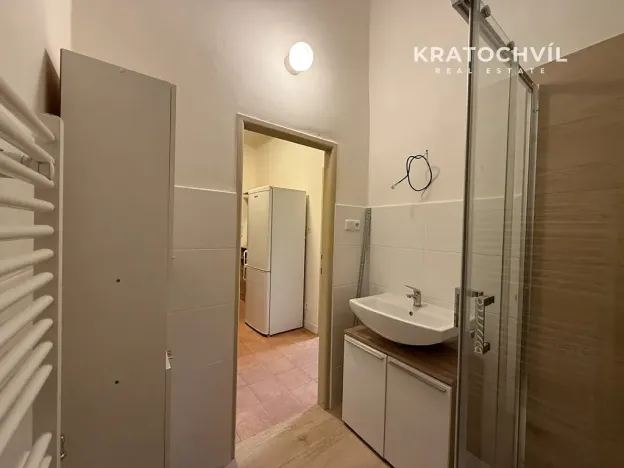 Pronájem bytu 1+kk, Praha - Nusle, Na Veselí, 42 m2