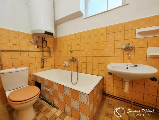 Prodej rodinného domu, Zbůch, Hornická, 339 m2