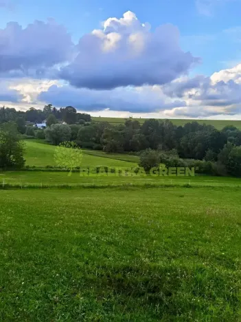 Prodej louky, Světlá nad Sázavou, 41681 m2