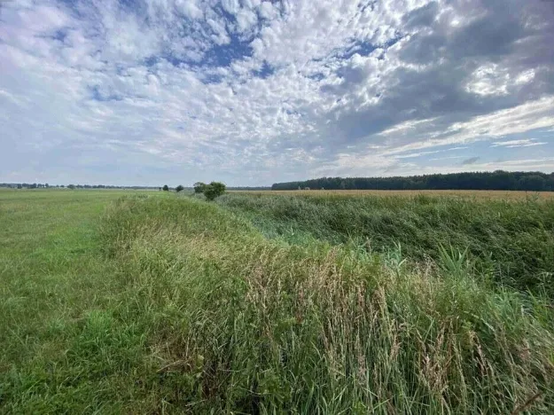 Prodej pole, Lomnice nad Lužnicí, 16506 m2
