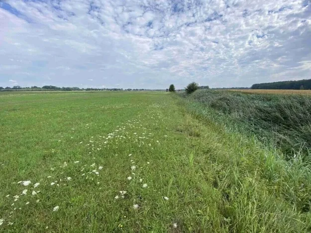Prodej pole, Lomnice nad Lužnicí, 16506 m2