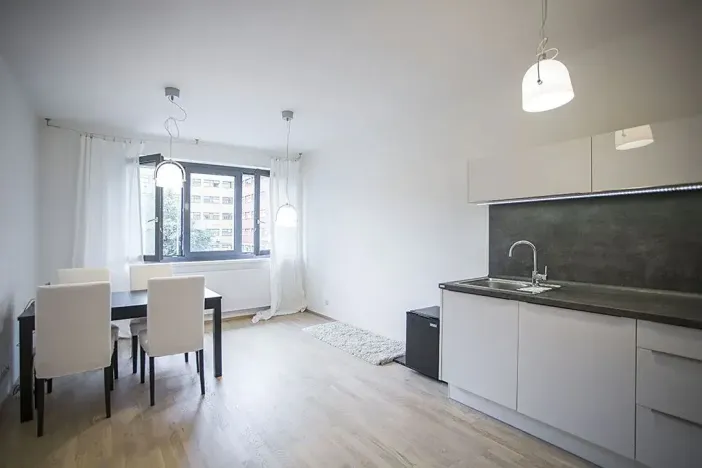 Pronájem bytu 1+kk, Praha - Žižkov, Olšanská, 35 m2