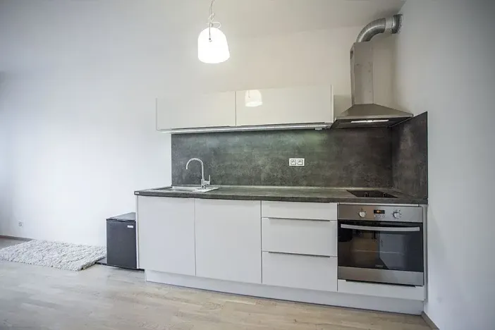 Pronájem bytu 1+kk, Praha - Žižkov, Olšanská, 35 m2